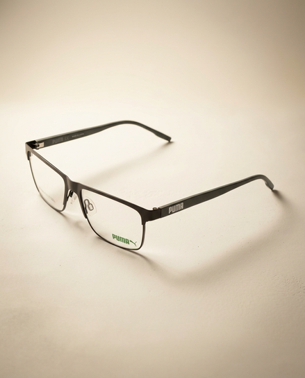 Armação de Grau PUMA PE0137OL Marrom